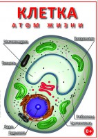 DVD "Клетка - "атом жизни" - fgospostavki.ru - Лобня