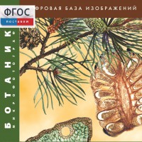 Ботаника. Микрофотографии. (Цифровая база изображений) - fgospostavki.ru - Лобня