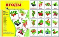 Демонстрационные карточки "Ягоды" - fgospostavki.ru - Лобня