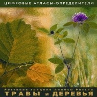 Растения средней полосы России "Травы и Деревья". (Цифровые атласы-определители) - fgospostavki.ru - Лобня