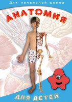 DVD "Анатомия для детей" - fgospostavki.ru - Лобня