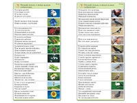 Комплект карточек (10) "Обучающий калейдоскоп. Природа" - fgospostavki.ru - Лобня