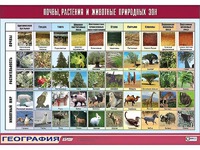Таблица демонстрационная "Почвы, растения и животные природных зон" (винил 70*100) - fgospostavki.ru - Лобня