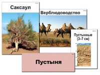 Модель-аппликация "Природные зоны России" (ламинированная) - fgospostavki.ru - Лобня