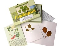 Гербарий "Систематика растений. Семейство Розоцветные" (раздаточный) - fgospostavki.ru - Лобня
