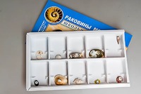 Коллекция "Раковины моллюсков" - fgospostavki.ru - Лобня