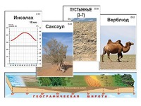 Модель-аппликация "Природные зоны" - fgospostavki.ru - Лобня