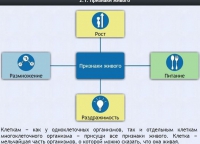 Интерактивные курсы. Биология 5 класс. Базовый - fgospostavki.ru - Лобня