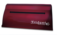 Принтер для печати рельефно-точечным шрифтом Брайля Trident - fgospostavki.ru - Лобня