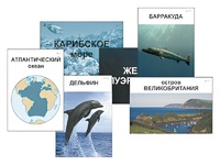 Модель-аппликация "Океаны. Знакомство" (ламинированная) - fgospostavki.ru - Лобня
