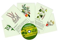 Интерактивный наглядный комплекс "Гербарий "Для начальной школы" - fgospostavki.ru - Лобня