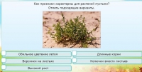Интерактивные курсы. Окружающий мир 3 класс . Базовый. - fgospostavki.ru - Лобня
