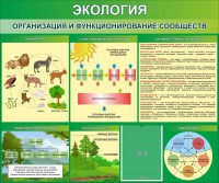 Стенд "Экология. Организация и функционирование сообществ" - fgospostavki.ru - Лобня