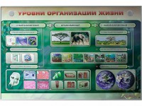 Электрифицированный стенд "Уровни организации жизни" - fgospostavki.ru - Лобня