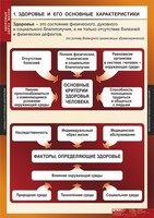Комплект таблиц. ОБЖ. Здоровый образ жизни. - fgospostavki.ru - Лобня