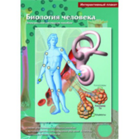 Интерактивные плакаты. Биология человека. Программно-методический комплекс - fgospostavki.ru - Лобня