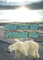 DVD "Животный мир Арктической зоны" - fgospostavki.ru - Лобня