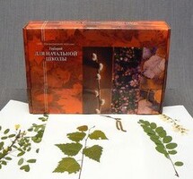 Гербарий для Начальной школы (28 видов) - fgospostavki.ru - Лобня