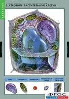 Комплект таблиц. Биология. Вещества растений. Клеточное строение. - fgospostavki.ru - Лобня
