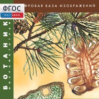 Ботаника. Микрофотографии. (Цифровая база изображений) - fgospostavki.ru - Лобня