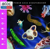 Биология. Микрофотографии. (Цифровая база изображений) - fgospostavki.ru - Лобня