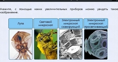Интерактивные курсы. Биология 5 класс. Расширенный - fgospostavki.ru - Лобня