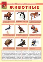 Комплект плакатов "Красная Книга России (животные, растения)" - fgospostavki.ru - Лобня