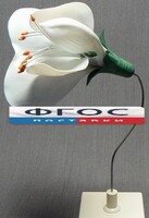 Модель "Цветок гороха" - fgospostavki.ru - Лобня