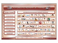 Трехсекционный базовый комплект "Травмы. Кровотечения. Ожоги" для учащихся общеобразовательных учреждений - fgospostavki.ru - Лобня