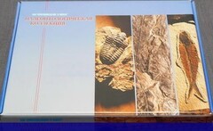Коллекция "Палеонтологическая" (16 образцов) - fgospostavki.ru - Лобня