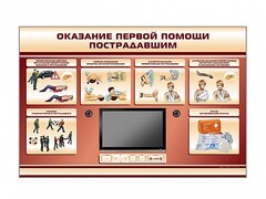 Многофункциональный интерактивный стенд-тренажер "Оказание первой помощи пострадавшим" для учащихся общеобразовательных учреждений - fgospostavki.ru - Лобня