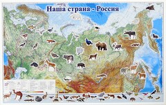 Магнитные карточки "Животные" - fgospostavki.ru - Лобня