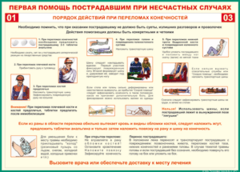 Таблица "Порядок действий при переломах конечностей" (100х140 сантиметров, винил) - fgospostavki.ru - Лобня