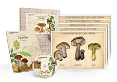 Комбинированное наглядное пособие  «Грибы» - fgospostavki.ru - Лобня
