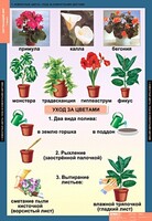 Комплект таблиц. Окружающий мир 1 класс. - fgospostavki.ru - Лобня