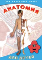 DVD "Анатомия для детей" - fgospostavki.ru - Лобня