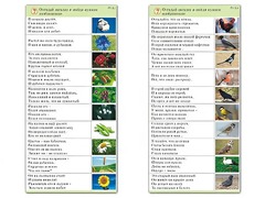 Комплект карточек (10) "Обучающий калейдоскоп. Природа" - fgospostavki.ru - Лобня