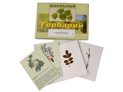 Гербарий "Деревья и кустарники" (22 вида, с иллюстрациями) - fgospostavki.ru - Лобня