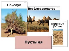 Модель-аппликация "Природные зоны России" (ламинированная) - fgospostavki.ru - Лобня
