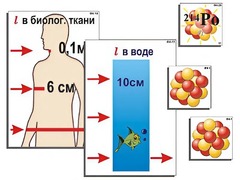 Модель-аппликация "Явление радиоактивности" (ламинированная) - fgospostavki.ru - Лобня