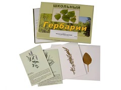 Гербарий "Лекарственные растения" (22 вида с иллюстрациями) - fgospostavki.ru - Лобня