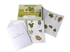 Гербарий "Морфология растений" (6 тем, 30 видов) - fgospostavki.ru - Лобня