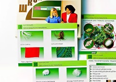 Коллекция "Шелк и продукты его переработки" (средняя школа) - fgospostavki.ru - Лобня