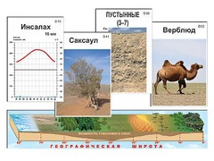 Модель-аппликация "Природные зоны" - fgospostavki.ru - Лобня