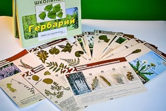 Гербарий к курсу основ общей биологии - fgospostavki.ru - Лобня