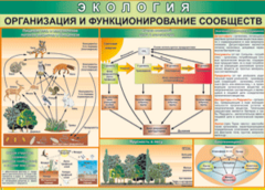 Таблица "Организация и функционирование сообществ" (100х140 сантиметров, винил) - fgospostavki.ru - Лобня