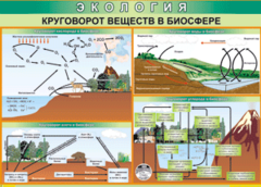 Таблица "Круговорот веществ в биосфере" (100х140 сантиметров, винил) - fgospostavki.ru - Лобня