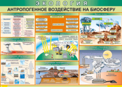 Таблица "Антропогенное воздействие на биосферу" (100х140 сантиметров, винил) - fgospostavki.ru - Лобня