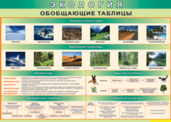 Таблица "Экология. Обобщающие таблицы" (100х140 сантиметров, винил) - fgospostavki.ru - Лобня