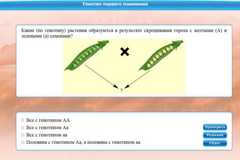 Интерактивные курсы. Биология 11 класс. Базовый. - fgospostavki.ru - Лобня